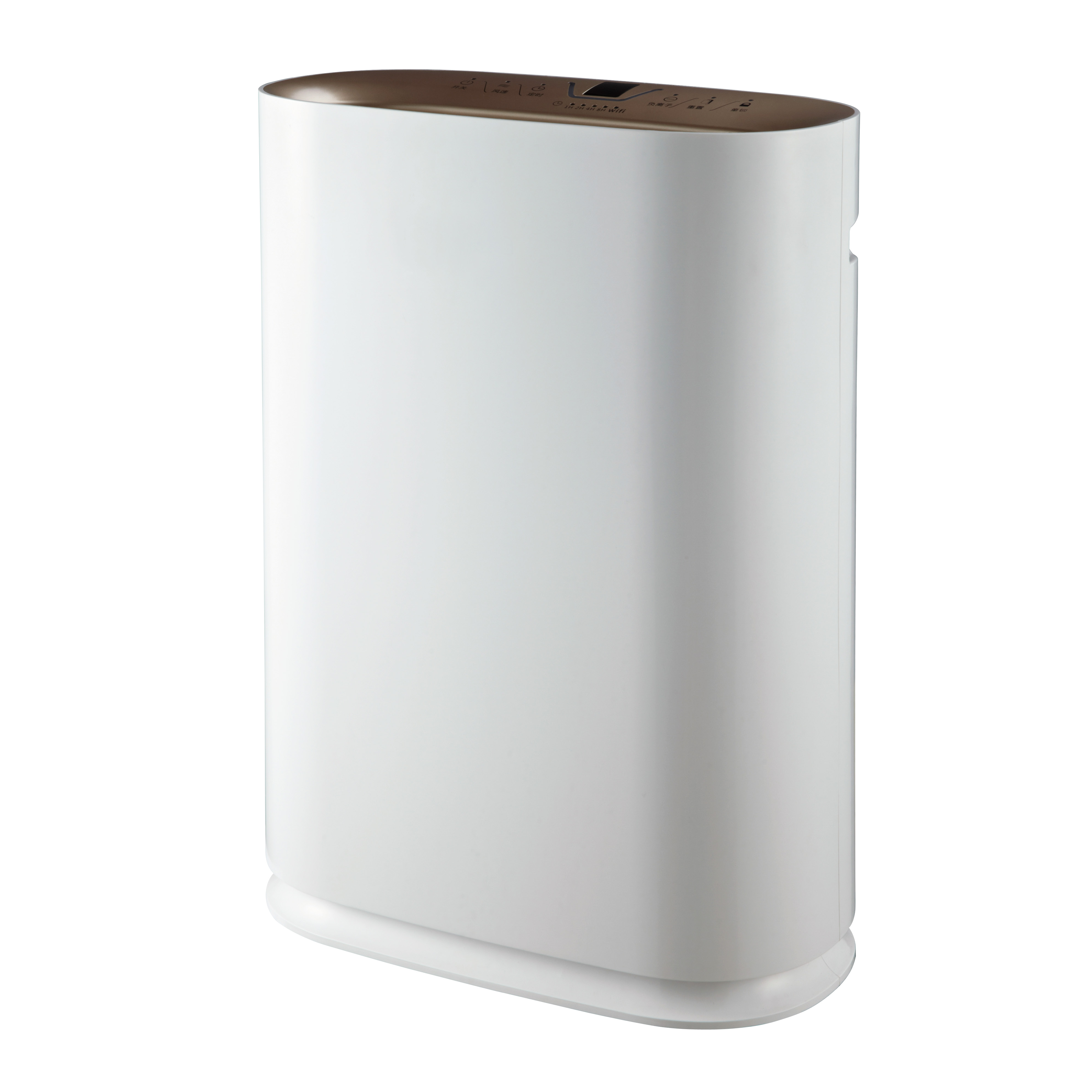 Entfernen Sie Formaldehyd am besten, genießen Sie frische Luft am meisten BKJ-300