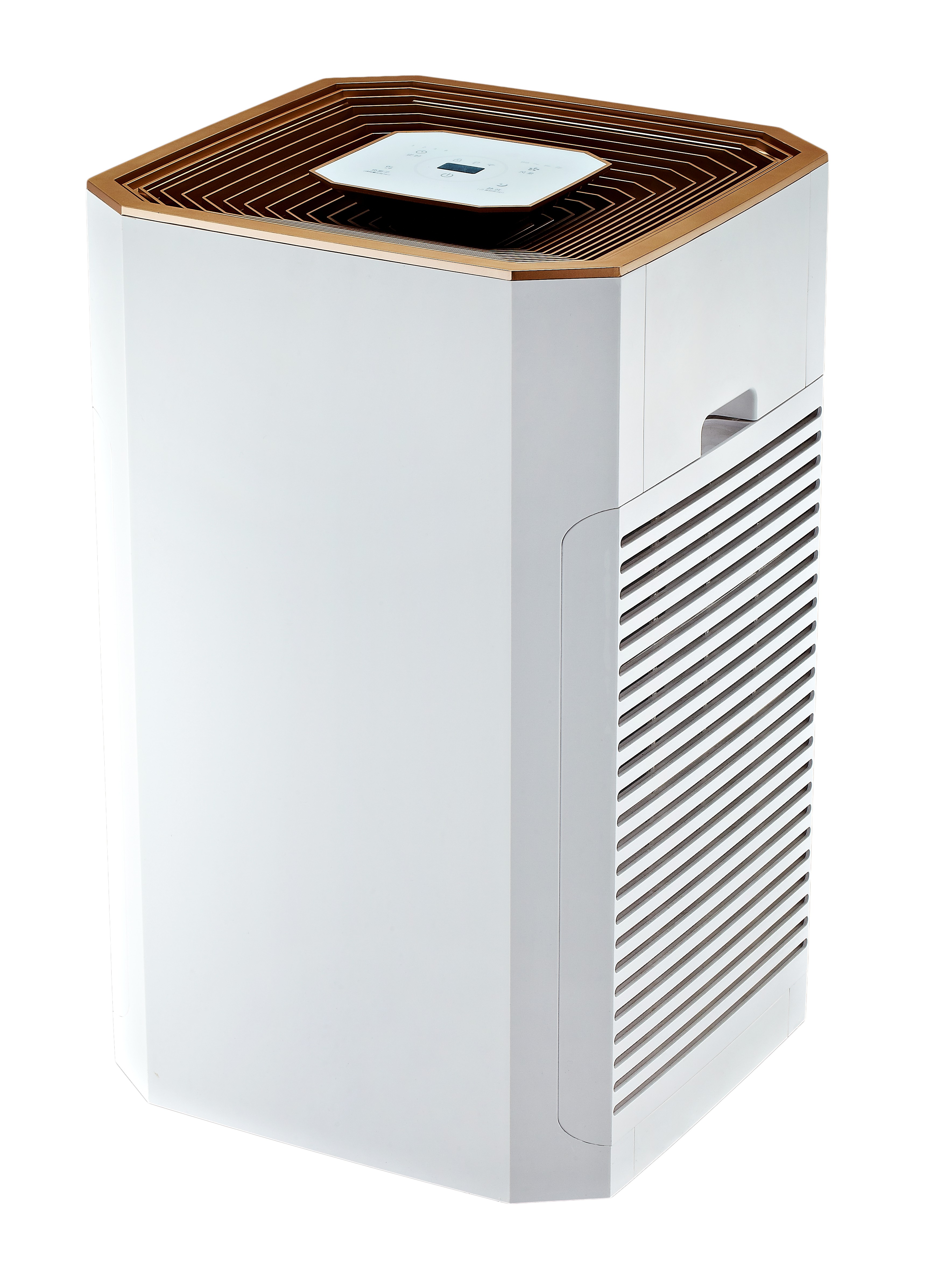 Entfernen Sie Formaldehyd am besten, genießen Sie frische Luft am meisten BKJ-80b