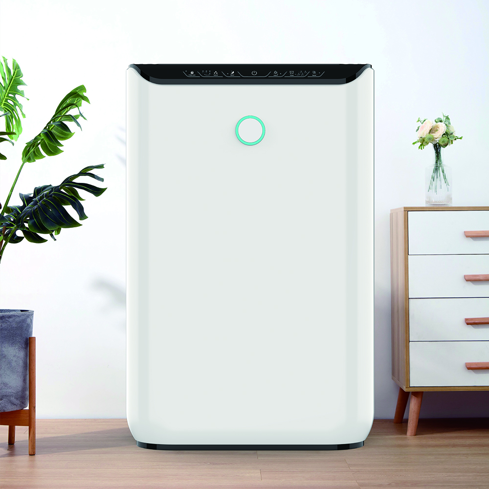 Entfernen Sie Formaldehyd am besten, genießen Sie frische Luft am meisten BKJ-370