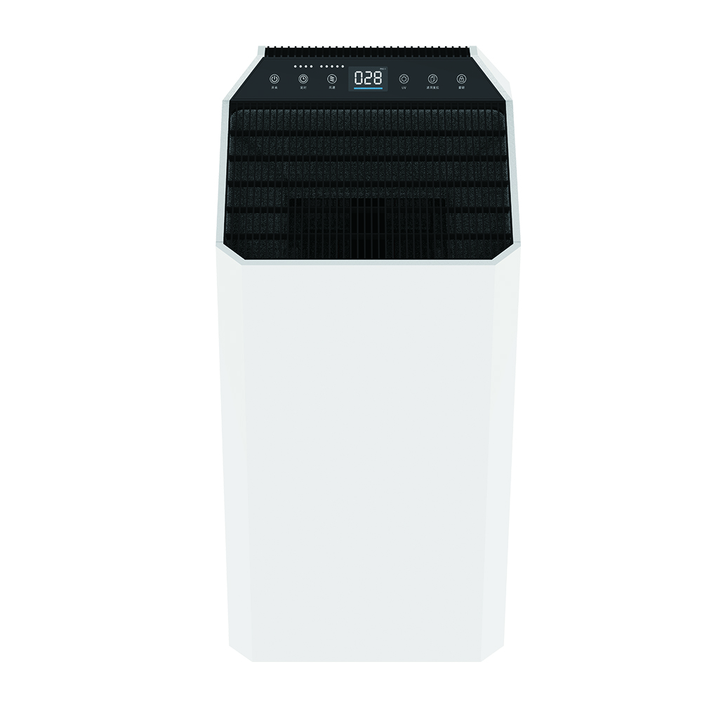 Entfernen Sie Formaldehyd am besten, genießen Sie frische Luft am meisten BKJ-90C