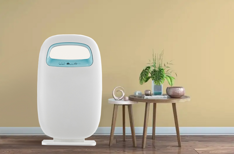 Entfernen Sie Formaldehyd am besten, genießen Sie die frische Luft am meisten BK-03