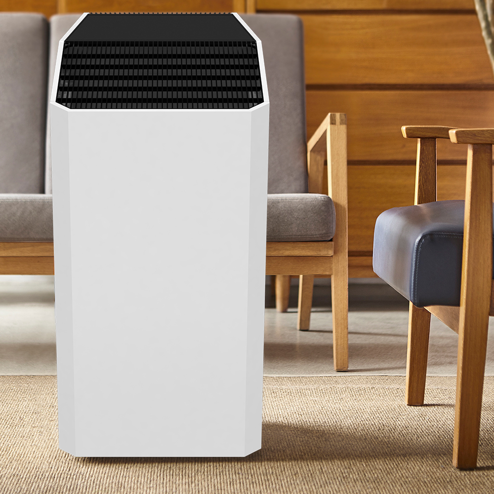 Entfernen Sie Formaldehyd am besten, genießen Sie frische Luft am meisten BKJ-90C