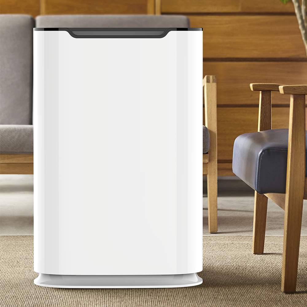 Entfernen Sie Formaldehyd am besten, genießen Sie die frische Luft am meisten BKJ-215