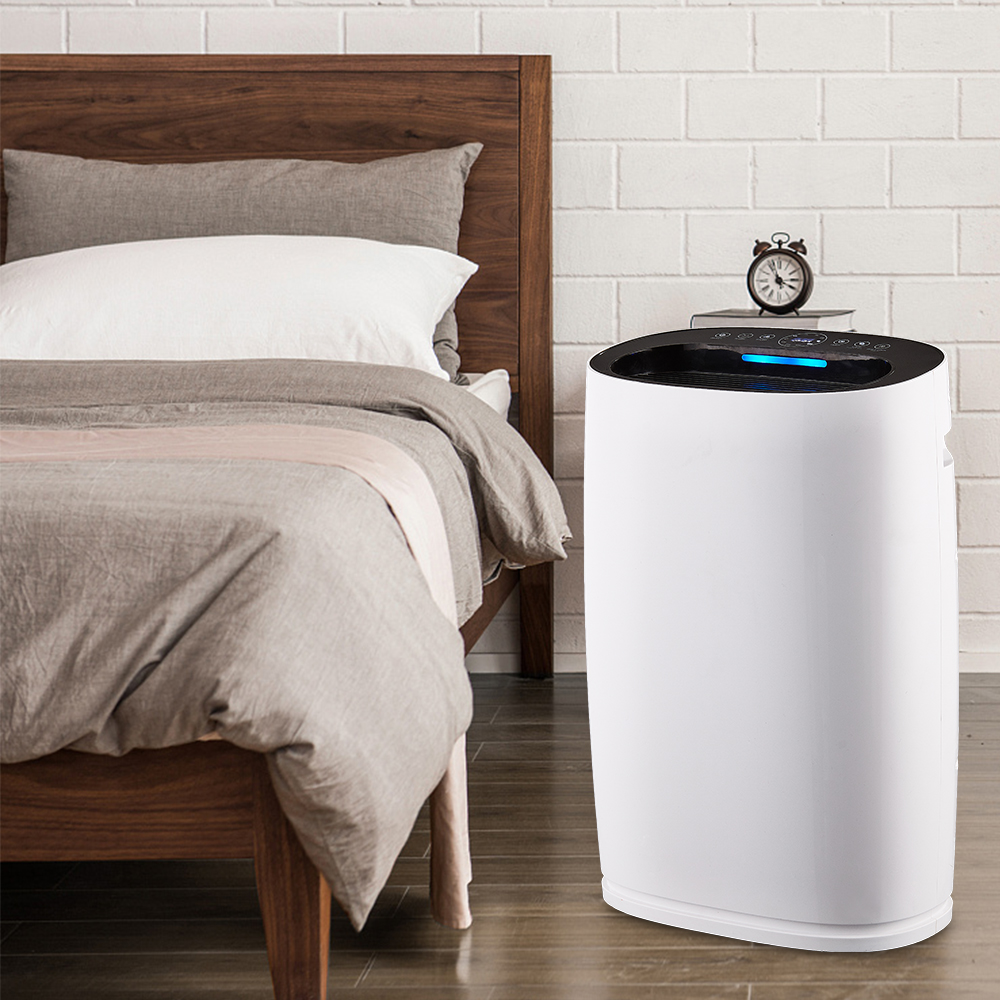 Entfernen Sie Formaldehyd am besten, genießen Sie frische Luft am meisten BKJ-306